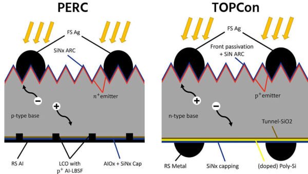 TOPCon vs PERC Solar Cells